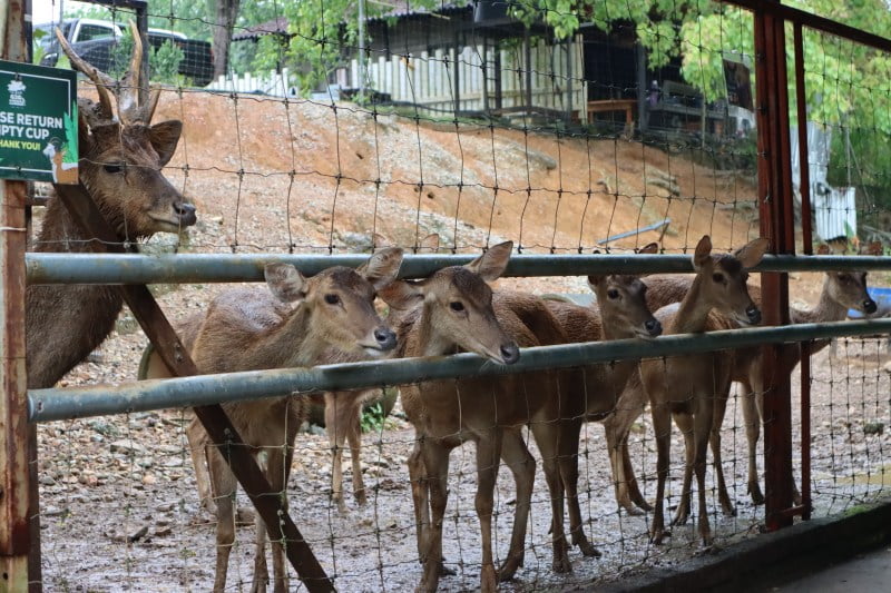 Tempat Yang Menarik Untuk Dilawati Di Selangor